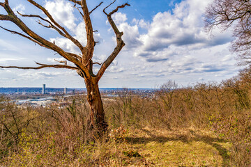 Naturpark Siebengebirge oberhalb der Großstadt Bonn