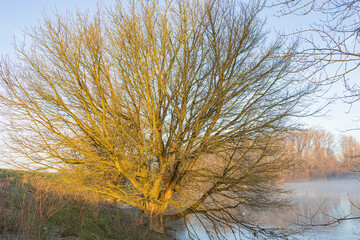 primi raggi di sole in riva al fiume