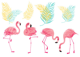 Set of flamingos, Tropical icons, Flamingo, Palm leaves, exotic animals, birds illustration