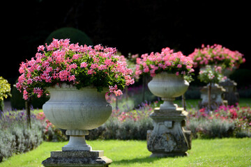The beautiful gardens with flowering pots from the Château de Chenonceaux in the Loire Valley