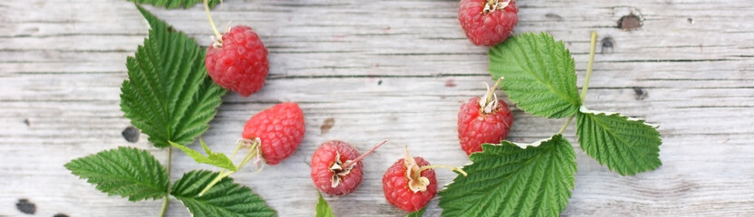 Raspberries on a wooden background. Banner size with copy space. Top view of ripe berries. Flat lay. Focus on berries