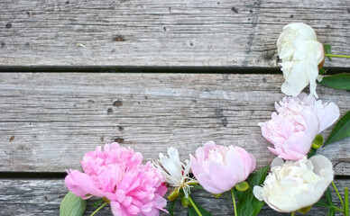 Beautiful pink and white pion flowers on wooden table. Flowers frame. Mock up for text. Copy space.