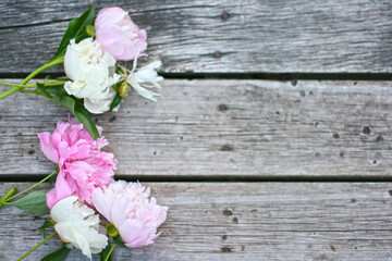 Top view background with pion flowers. Flowers composition. Mock up with plants. Flat lay with Flowers on white table. Woman day concept. Copyspace for text. 