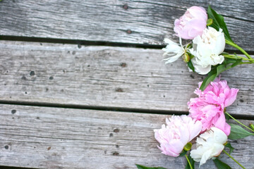 Fototapeta na wymiar Beautiful pink and white pion flowers on wooden table. Flowers frame. Mock up for text. Copy space.