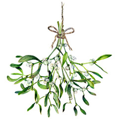 Watercolor Illustration of Hanging Mistletoe Bouquet. - 423769221