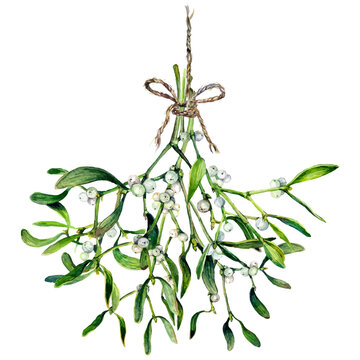 Watercolor Illustration of Hanging Mistletoe Bouquet.