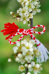 Bulgarian symbol of spring martenitsa bracelet. March 1 tradition white and red cord martisor and...