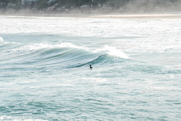 surfing in the sea