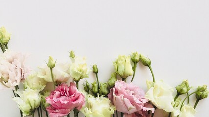Flowers composition. Frame made of eustoma beautiful pink and white eustoma flowers, lisianthus. Greeting wedding or spring, summer card. Minimalism. Flat lay, top view, copy space