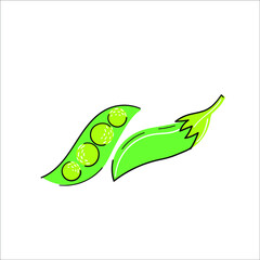 Green peas vector illustration. . Vector illustration