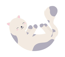 cute cat lying