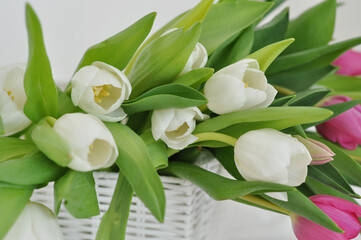 bouquet of tulips in the basket on a white background