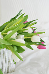 bouquet of tulips in the basket on a white background