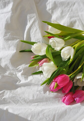 bouquet of tulips on a white background