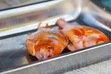 dos pescados naranja crudos en una bandeja, listos para cocinarlos luego de pescarlos