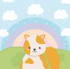 cat and rainbow