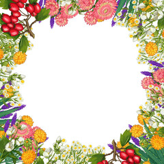 Hand drawn medicinal plant frame. Healing herbs border. isolated on white background