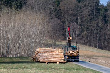 Holszstämme werden auf einen Transporter aufgeladen - Forstarbeiten im Frühjahr