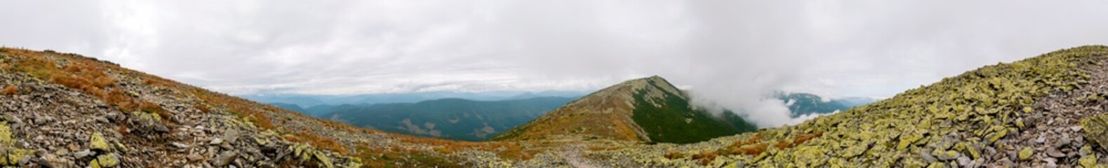 beautiful panorama with alpine pine and mountains under blue sky