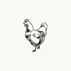 Hand drawn farm animal simple illustration