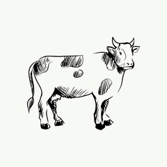 Hand drawn farm animal simple illustration