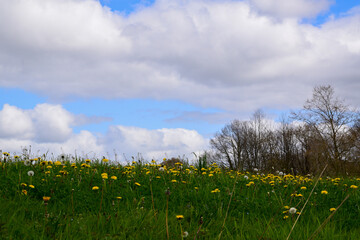 Colores de primavera
