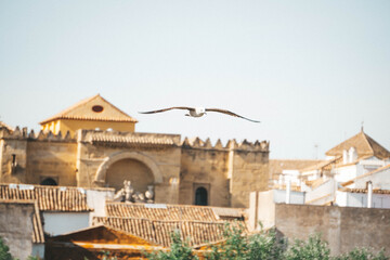 Obraz premium view of the town