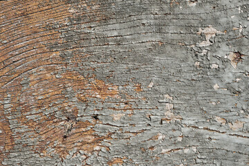 Old wooden surface with gray peeling paint, rustic wood backround or texture