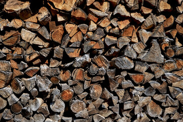 Dry firewood stacked in a pile