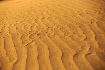 sand dunes in the desert
