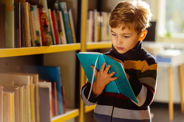 Child s brain development, learn to read, cognitive skills concept. Preschool boy reading book in...