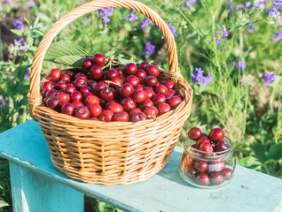 Fototapeta na wymiar Fresh cherry in the basket