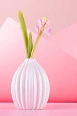 Elegant tender pink hyacinth bouquet with young buds and sprout in ceramic vase on pastel pink background in minimalist geometric style for mothers day, vertical.
