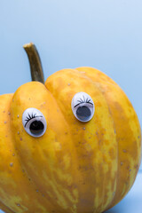 Close up image of funny overripe pumpkin with eyes on the blue background, copy space