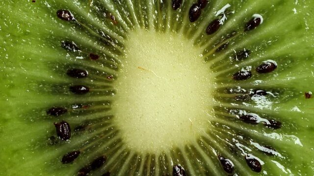 Sclied Kiwi rotating. Ripe Tropical fruits macro shot