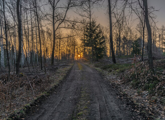 Sunrise path in frosty spring forest near Petrovice village