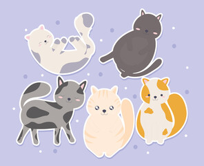 cute cats bundle