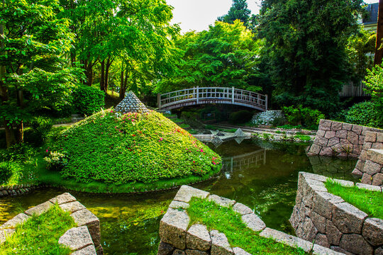 Finishing   ( beginning ?) and wooden bridge  of Rhododendron  (azalea) blossoms  in Public park in Paris