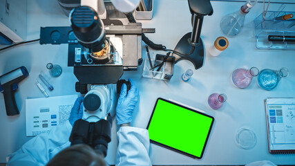 Top Down View of a Medical Research Scientist in Blue Rubber Gloves Working Behind Table in a...