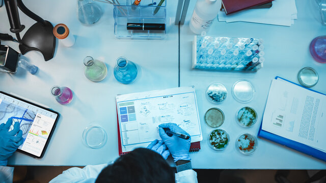 Top Down View of a Medical Research Scientist in Blue Rubber Gloves Working Behind Table in a Modern Laboratory. Doctors Using Digital Tablet, Compare Samples and Write Down Data.