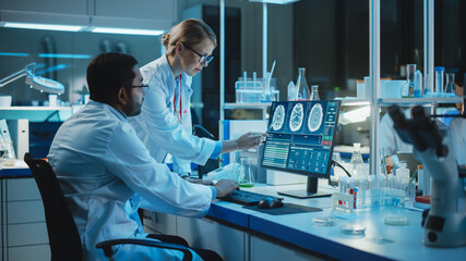Female Research Scientist Has a Conversation with Bioengineer About the Effects of Different...
