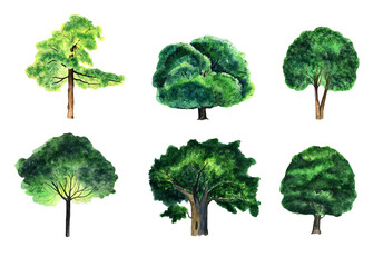 Fototapeta premium watercolor set green trees of different sizes