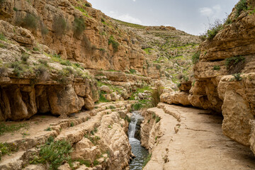 Prat Brook in the Judea Desert, Israel
