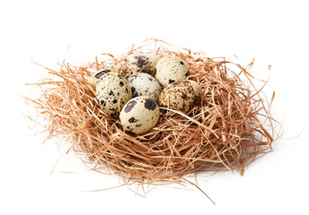 Naklejka na ściany i meble close up quail eggs in straw nest isolated on white background 