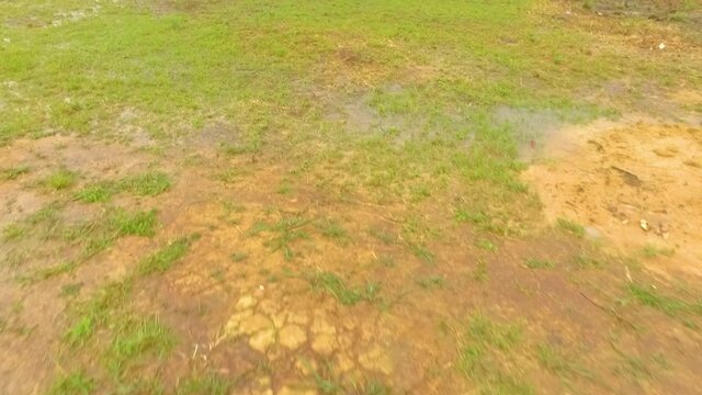 Indigenous pemon hut in Mayupa, Canaima, Venezuela, during a rainy day