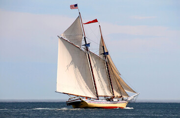 Fototapeta na wymiar schooner on the bay