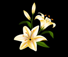 Fototapeta na wymiar Hermosa flor lirio aislada en blanco 