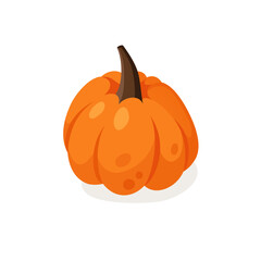 Cartoon Pumpkin Spice Season Image. Hand drawn stylish vegetable. Vector drawing fresh organic food. Summer illustration vegan ingrediens for smoothies or Pie