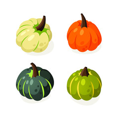 Cartoon Pumpkin Spice Season Image. Hand drawn stylish vegetable. Vector drawing fresh organic food. Summer illustration vegan ingrediens for smoothies or Pie