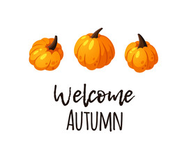 Cartoon Pumpkin Spice Season Image with Text. Hand drawn stylish vegetable. Vector drawing fresh organic food and Quote. Summer illustration vegan ingrediens for smoothies or Pie